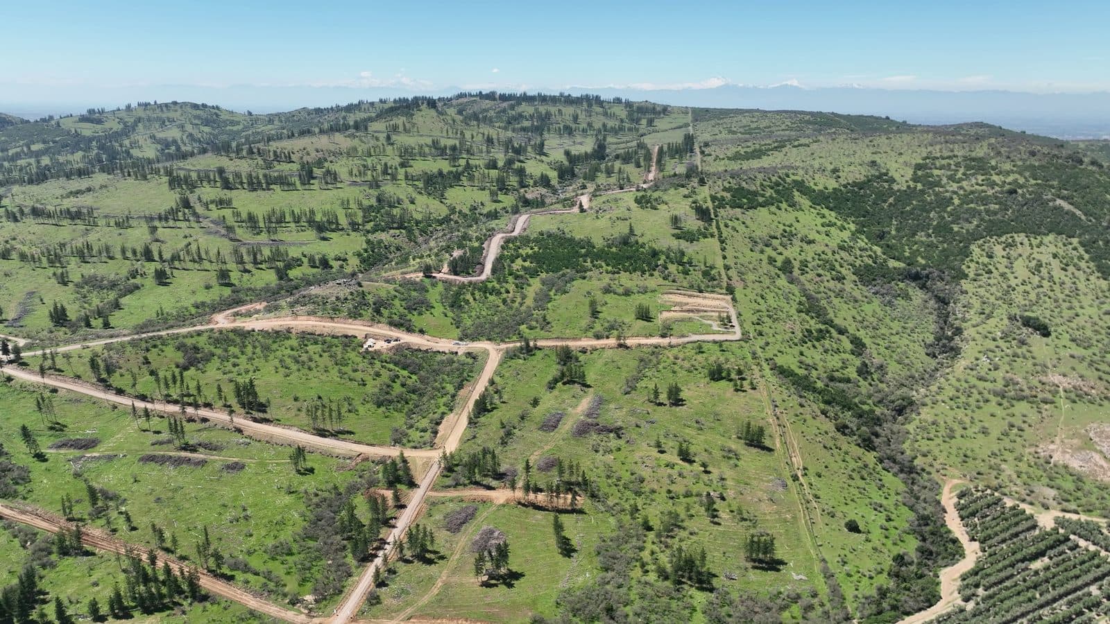 Altos de Talca
