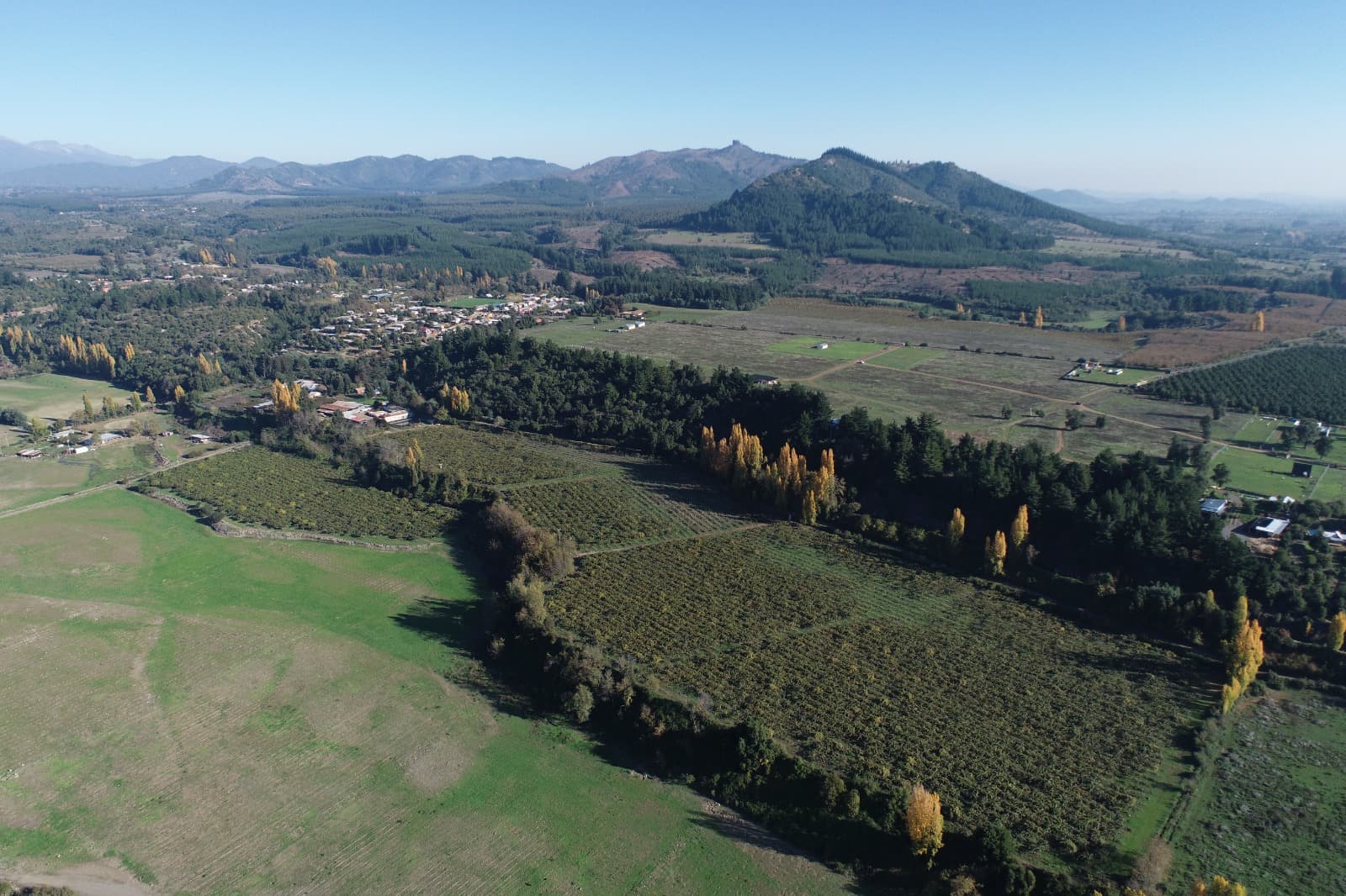Brisas de Río Claro